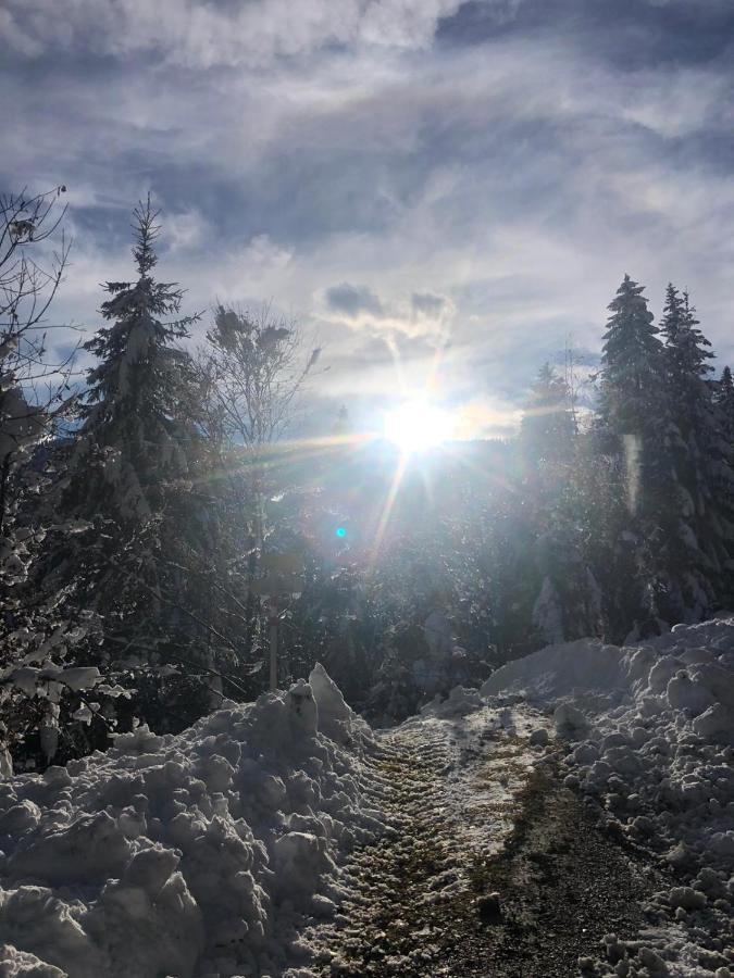 Ferienwohnung Elfi Tröpolach Buitenkant foto